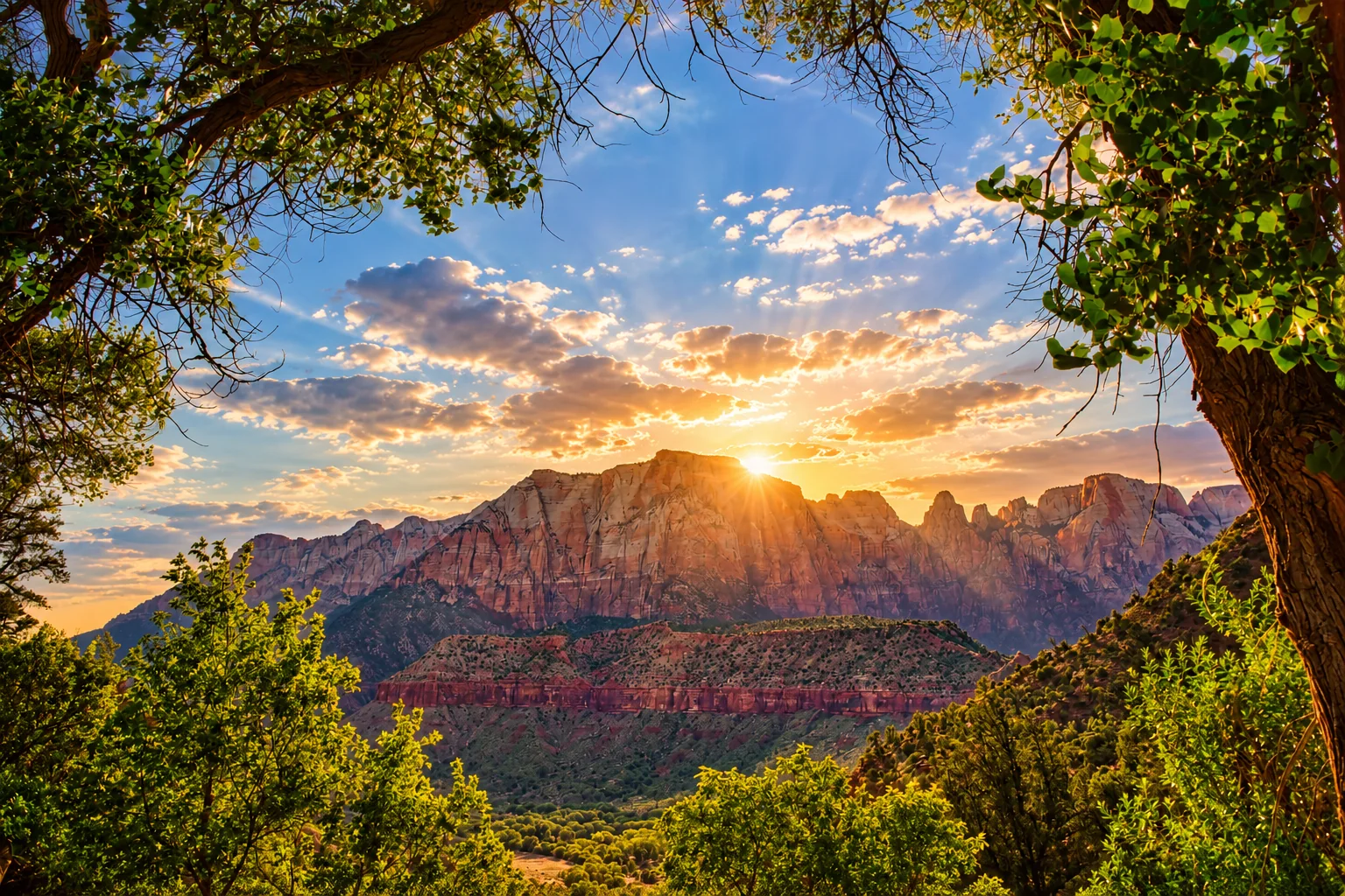 Sun shining over a rugged canyon landscape framed by trees.